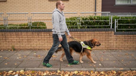 A visually impaired male walking with a guide dog